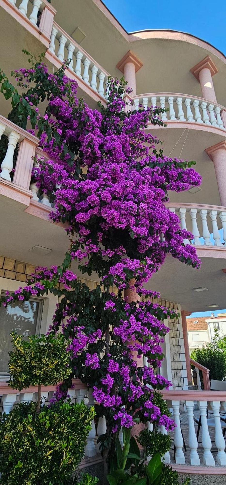 Kurt Apartaments Ulcinj Exteriér fotografie